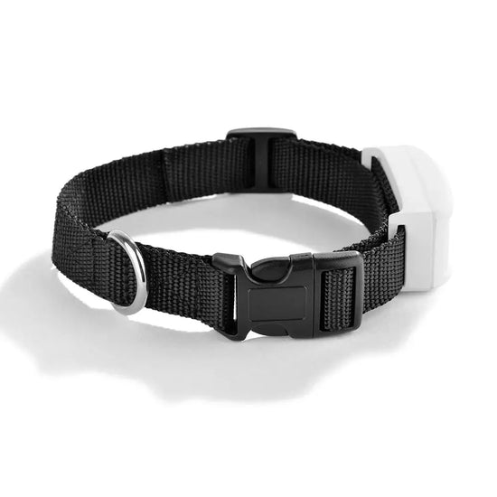 Traceur GPS 2G Animal TK911 — Étanche IP67