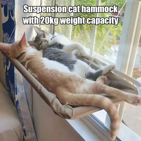 Hamac Fenêtre Chat Suspendu — Charge 20 kg