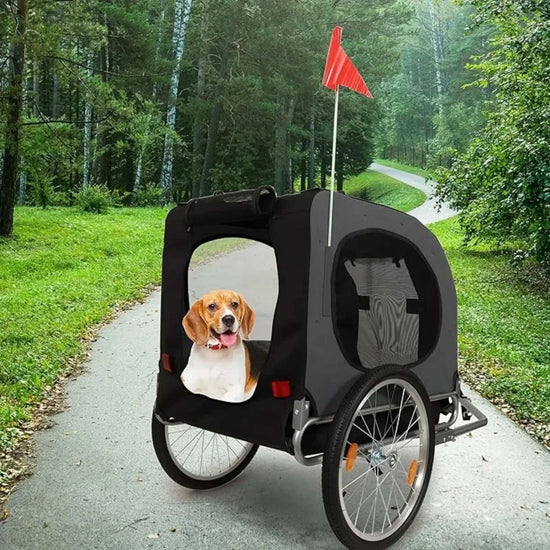 Remorque vélo pour chien convertible 3-en-1 avec pneus tout-terrain 16 pouces, capacité 40 kg, gris foncé, sécurité renforcée