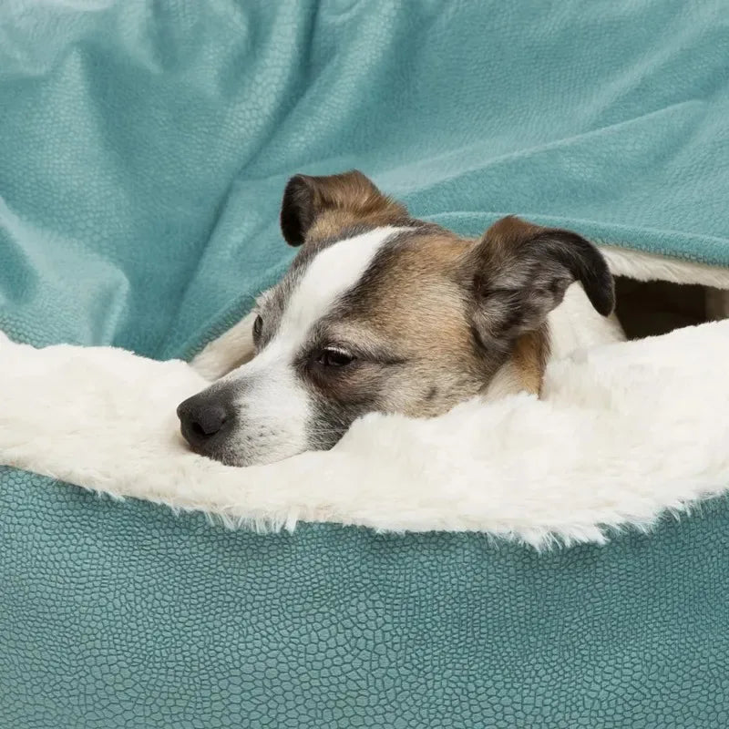 Lits & Couchage pour Chien et Chat