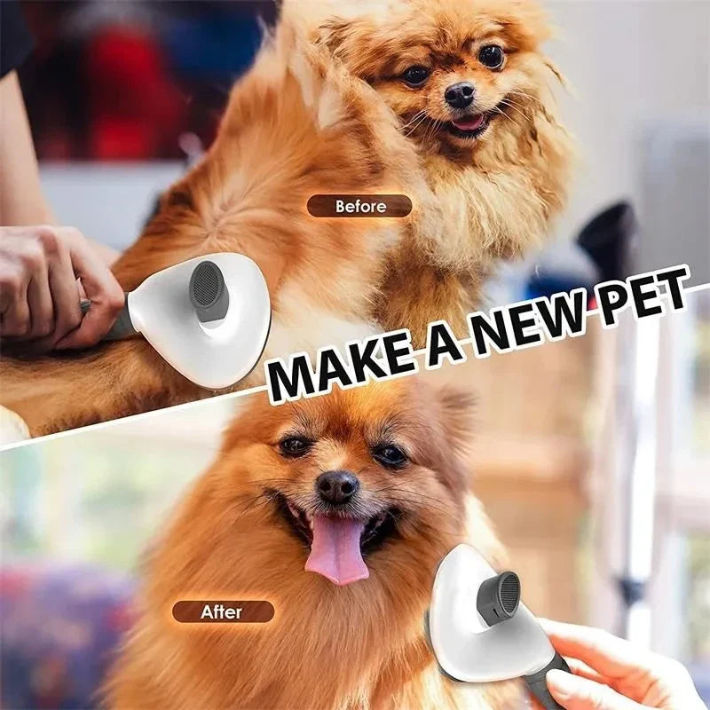 Hygiène & Soins pour Chien et Chat
