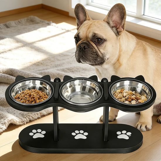 Mangeoire Surélevée Double Bol pour Chien & Chat