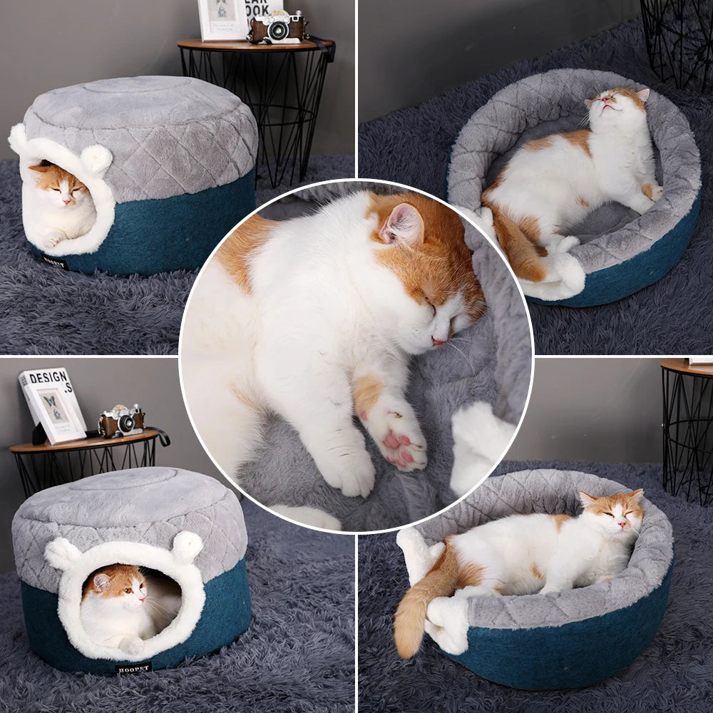 Niche Peluche Chat & Petit Chien HOOPET — Coussin Lavable Design Pop-Top | Petloria