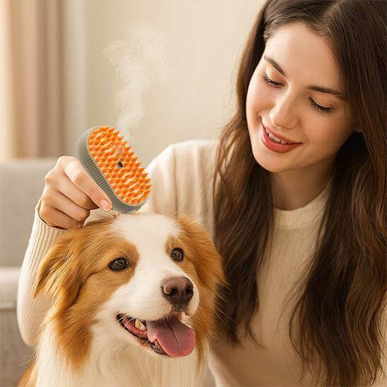 Brosse vapeur 3-en-1 rechargeable USB pour toilettage et soin du pelage de chats et chiens
