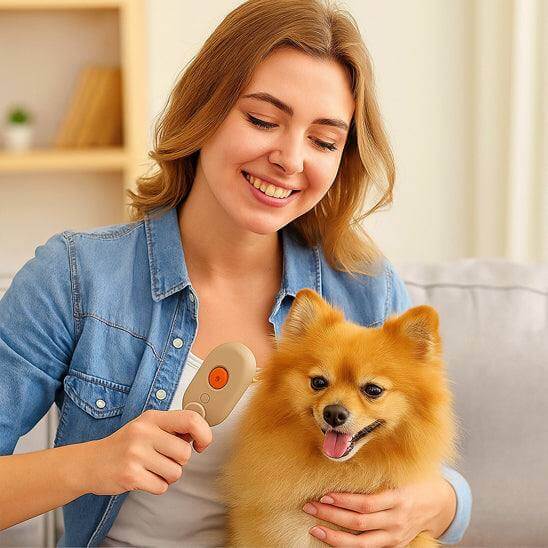 Brosse vapeur 3-en-1 pour chat et chien, rechargeable USB, toilettage et massage du pelage sans produits chimiques