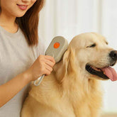 Brosse vapeur 3-en-1 rechargeable USB pour toilettage, massage et soin des chats et chiens, pelage propre et brillant sans produits chimiques