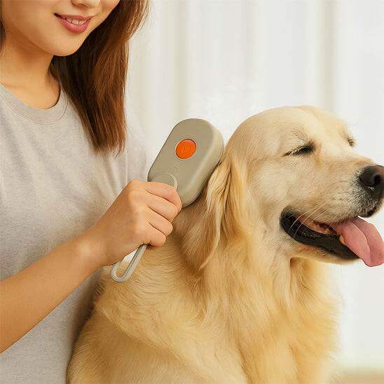 Brosse vapeur 3-en-1 rechargeable USB pour toilettage, massage et soin des chats et chiens, pelage propre et brillant sans produits chimiques