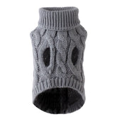 Pull pour chien