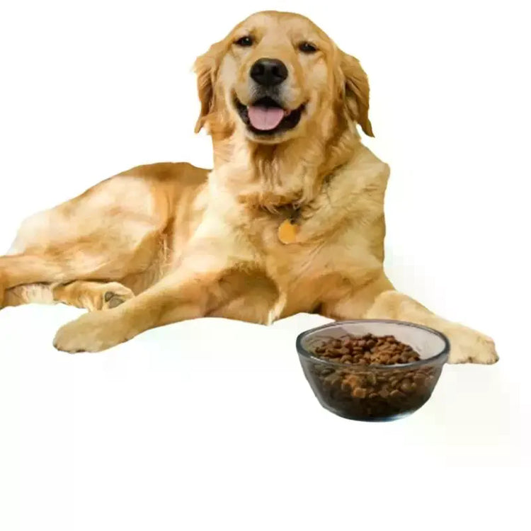 Tapis d’alimentation pour animaux 
