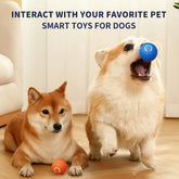 Smart Touch Activated Pet Toy Ball