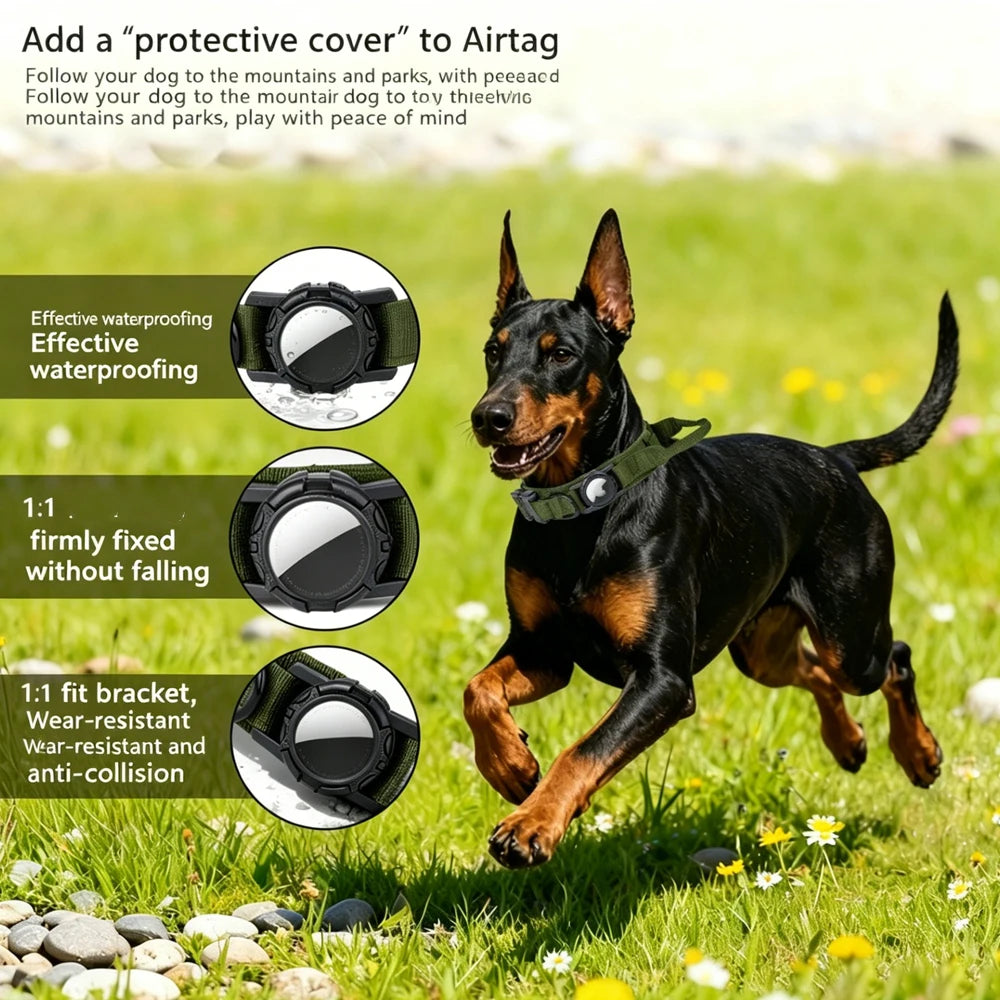 Set Tactique Chien 3-en-1 — Harnais, Collier & Laisse Nylon Ajustables | Petloria