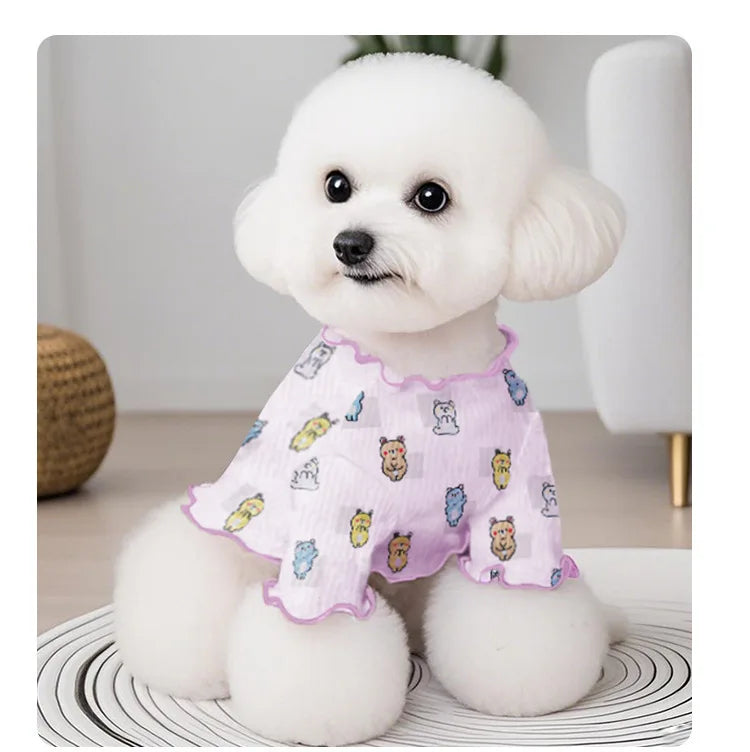 Tenue pour Chien 