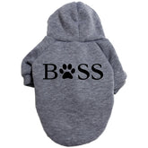 Vêtements pour chien