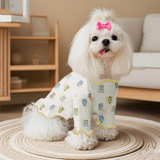 Tenue pour Chien 