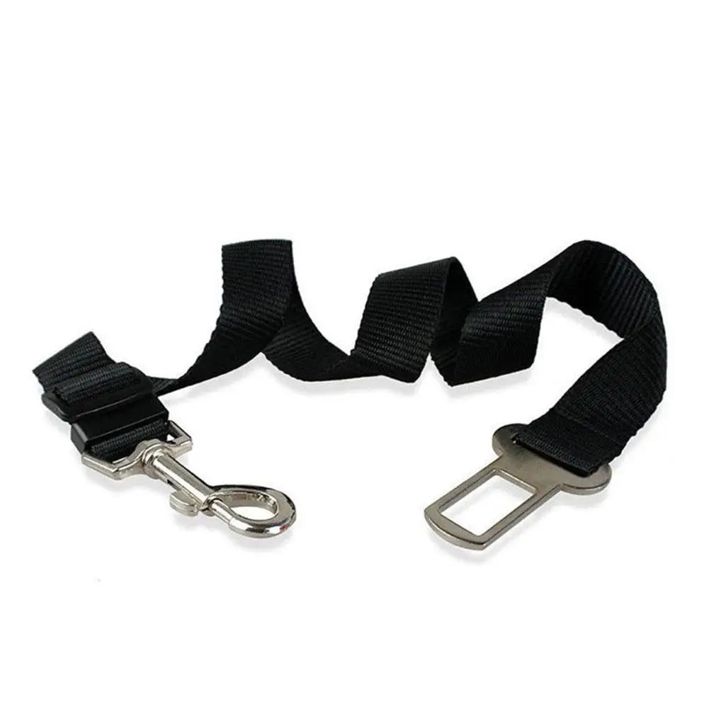 Harnais Mesh Chien Respirant — Sangle Sécurité Voiture Incluse | Petloria