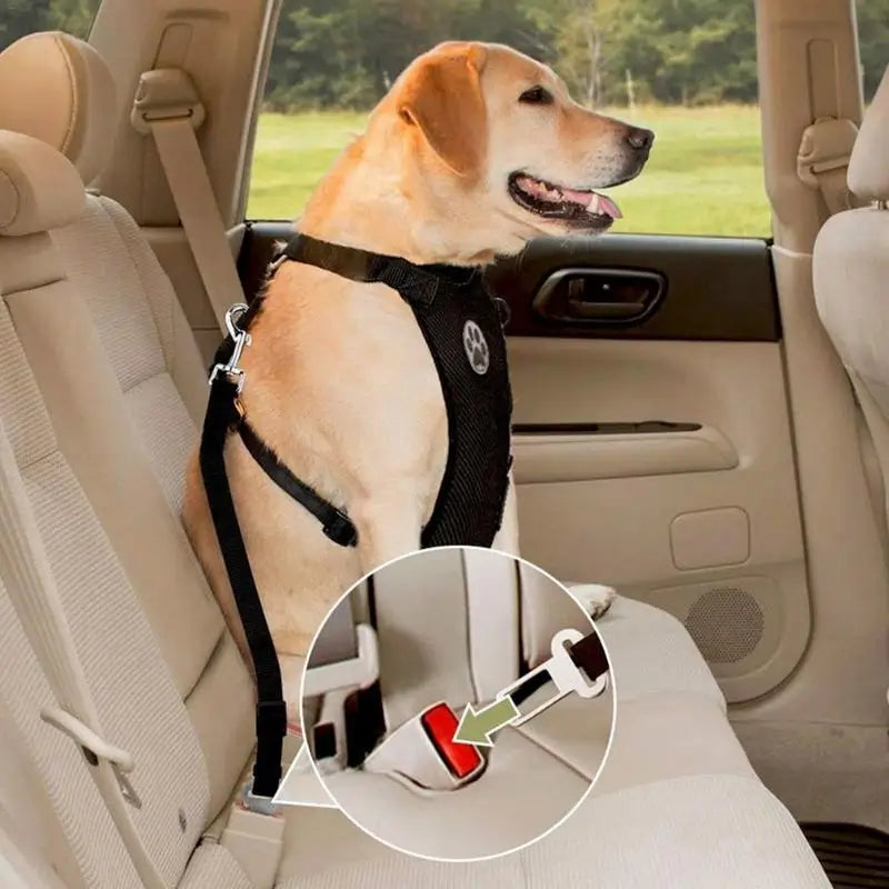 Harnais Mesh Chien Respirant — Sangle Sécurité Voiture Incluse | Petloria