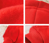 Vêtements pour chien