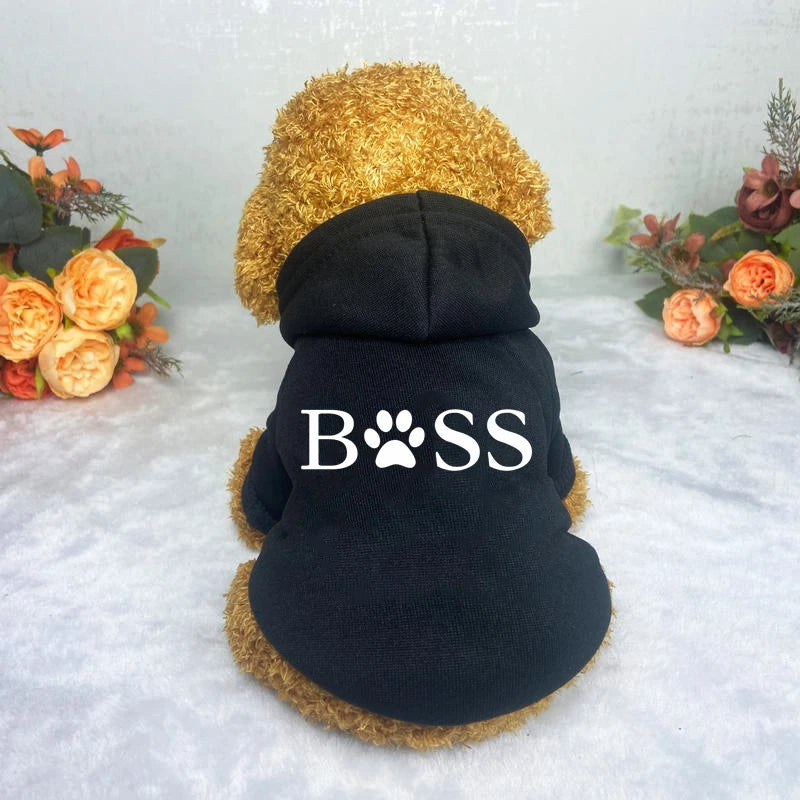 Vêtements pour chien