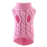 Pull pour chien