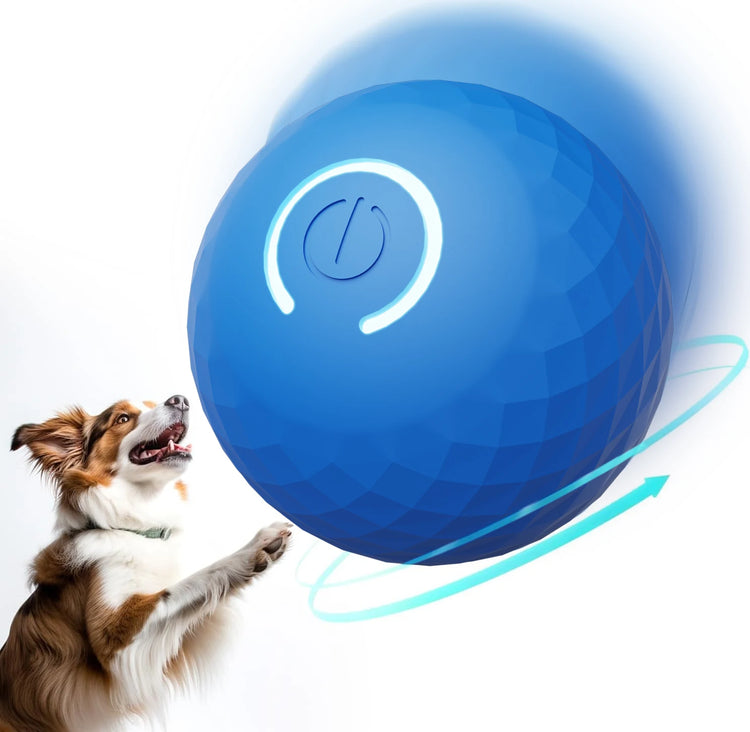 Smart Touch Activated Pet Toy Ball