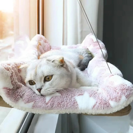 Hamac Fenêtre Chat Suspendu — Charge 20 kg avec Couverture Incluse | Petloria