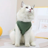 Pet Cat Vest Clothes Bear Style