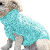 Pull pour chien