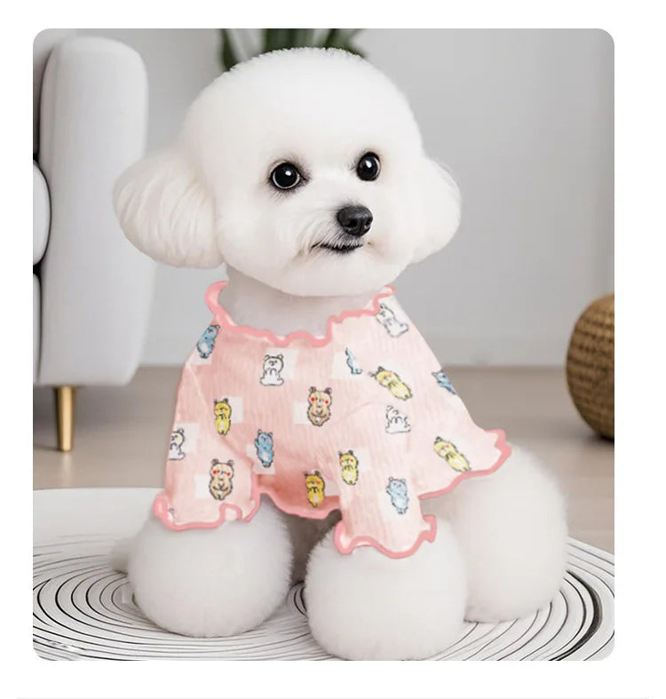Tenue pour Chien 