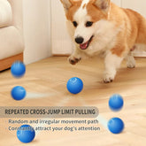 Smart Touch Activated Pet Toy Ball