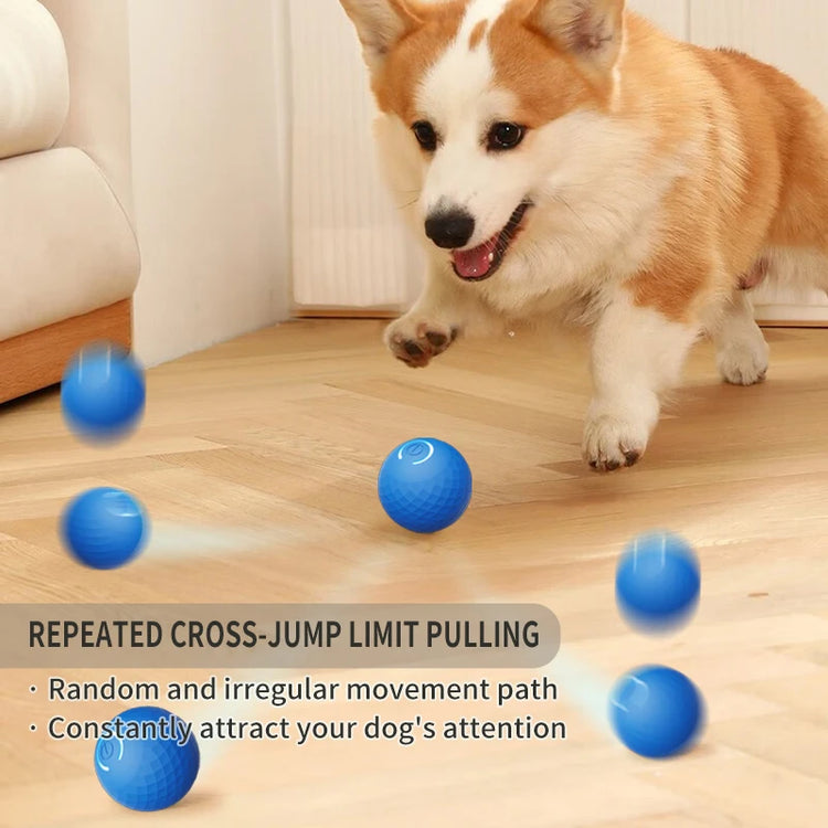 Smart Touch Activated Pet Toy Ball