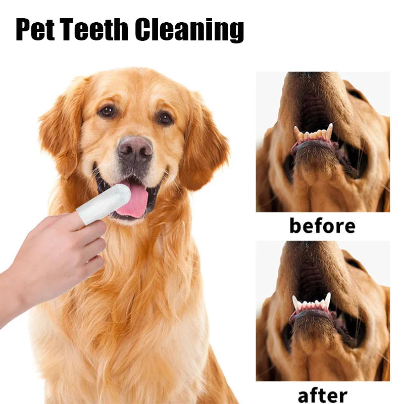 Pet Disposable Cleaning