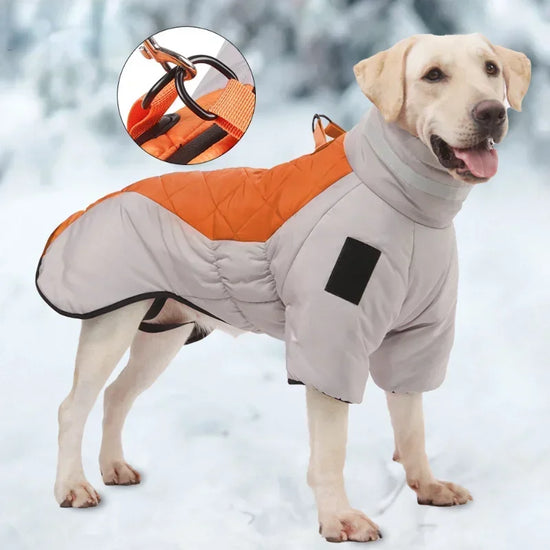 Veste Imperméable Grand Chien — Manteau Chaud Hiver Col Haut | Petloria