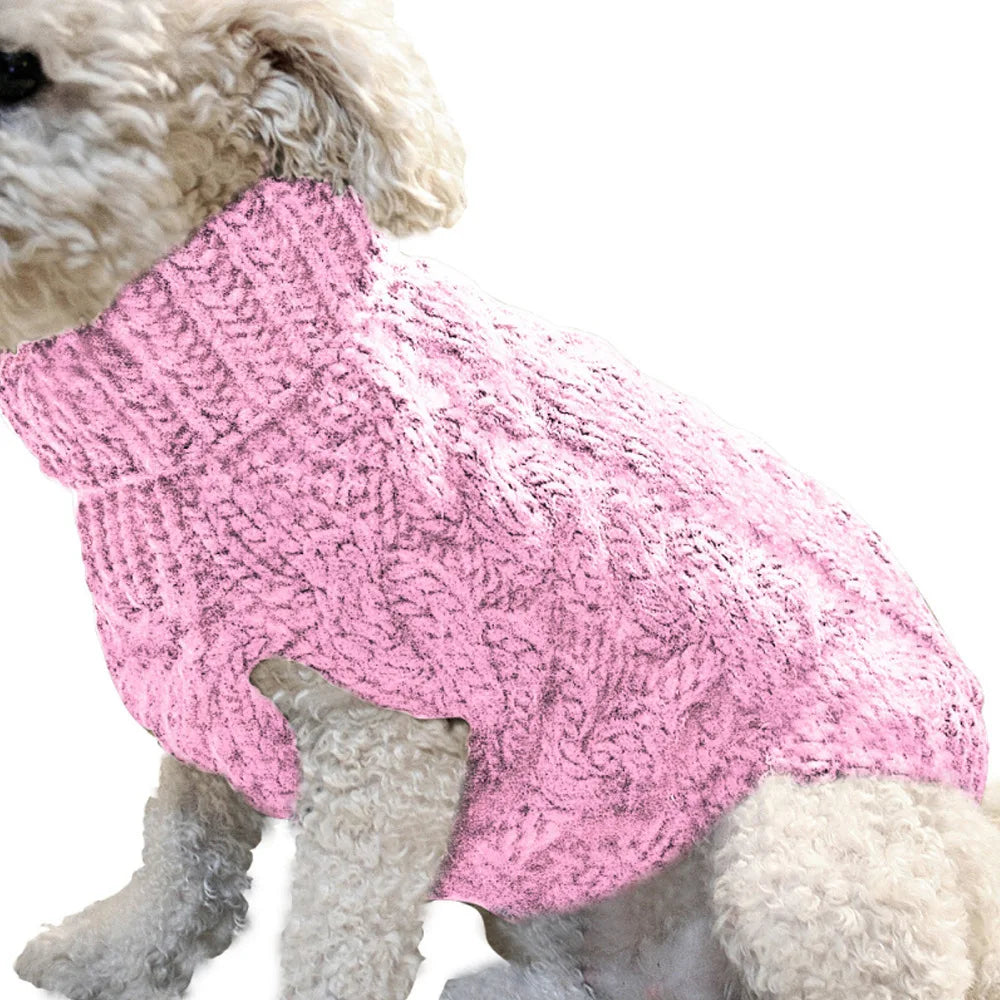 Pull pour chien