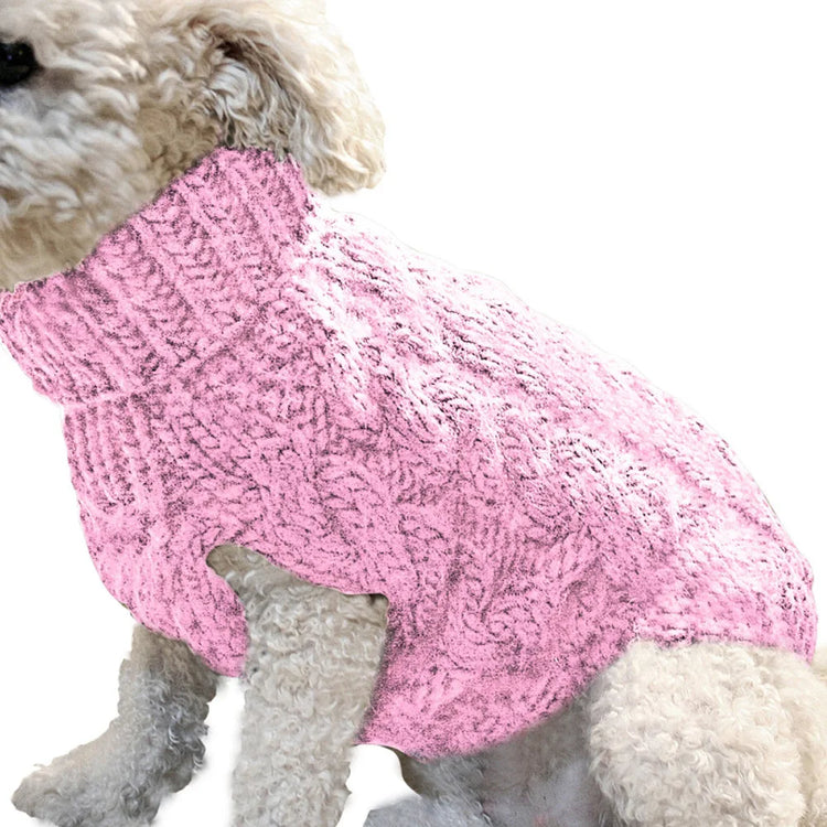 Pull pour chien