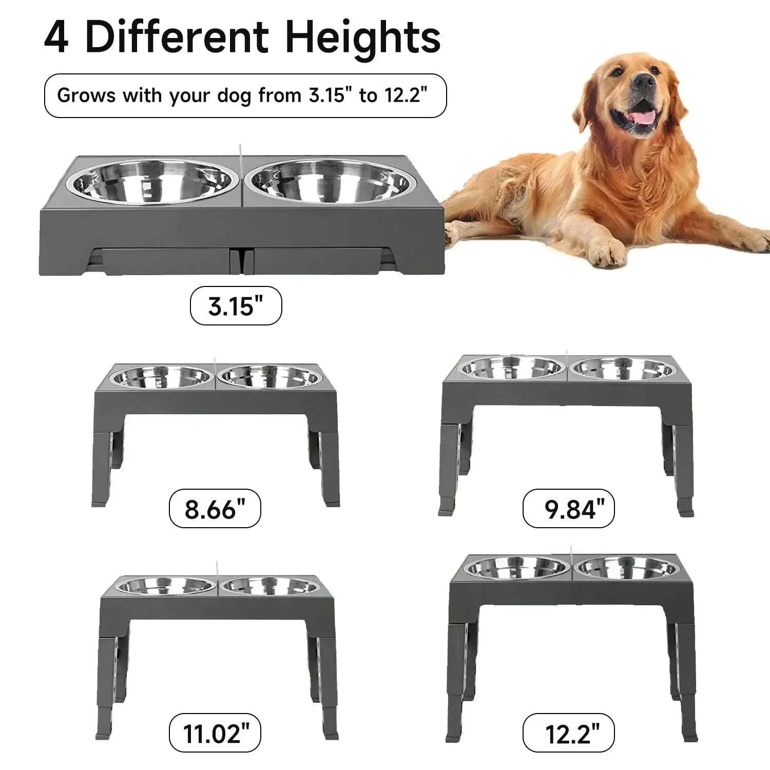 Gamelle surélevée réglable en inox pour chien avec 5 hauteurs ajustables et bols séparés.