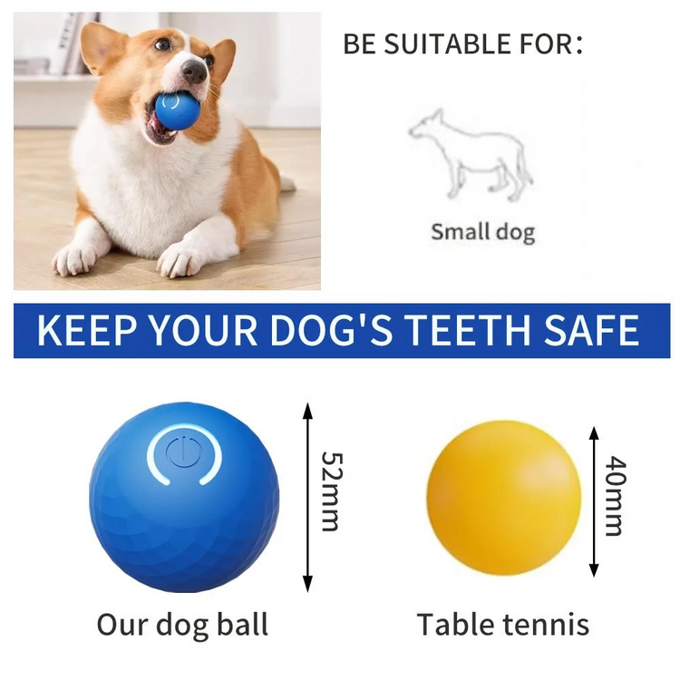 Smart Touch Activated Pet Toy Ball