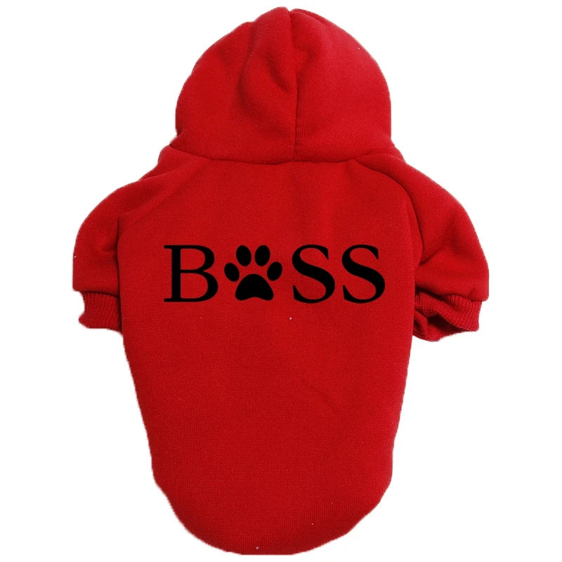 Vêtements pour chien