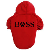 Vêtements pour chien
