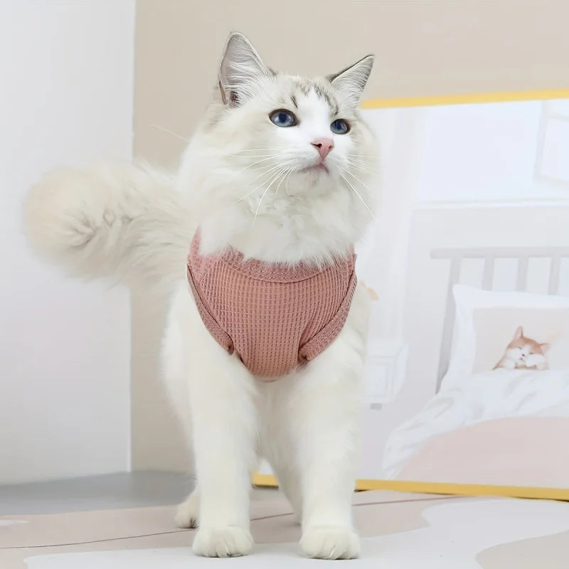 Pet Cat Vest Clothes Bear Style