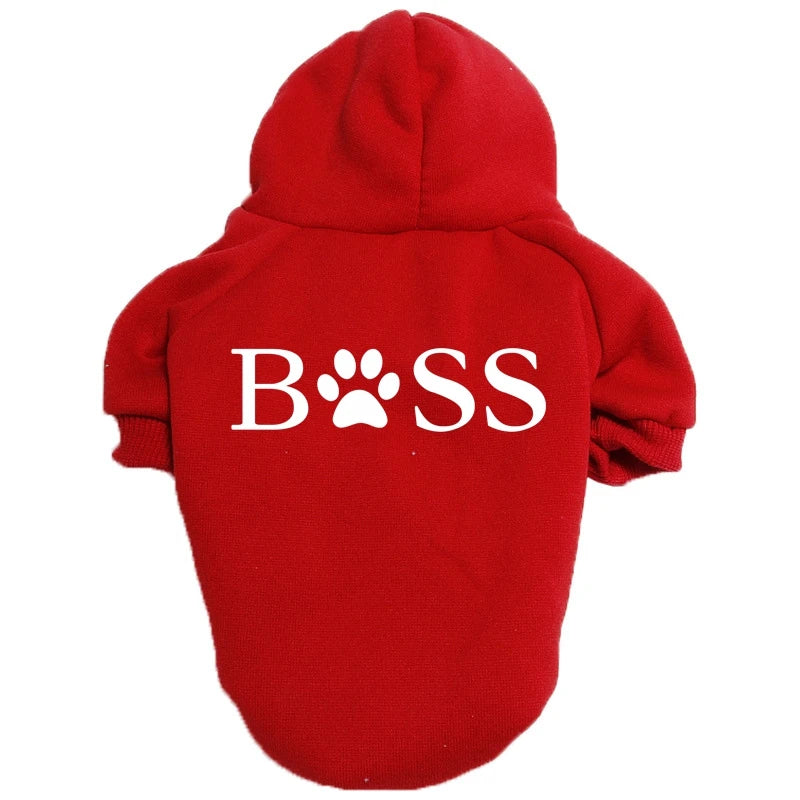 Vêtements pour chien