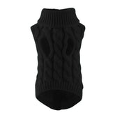 Pull pour chien