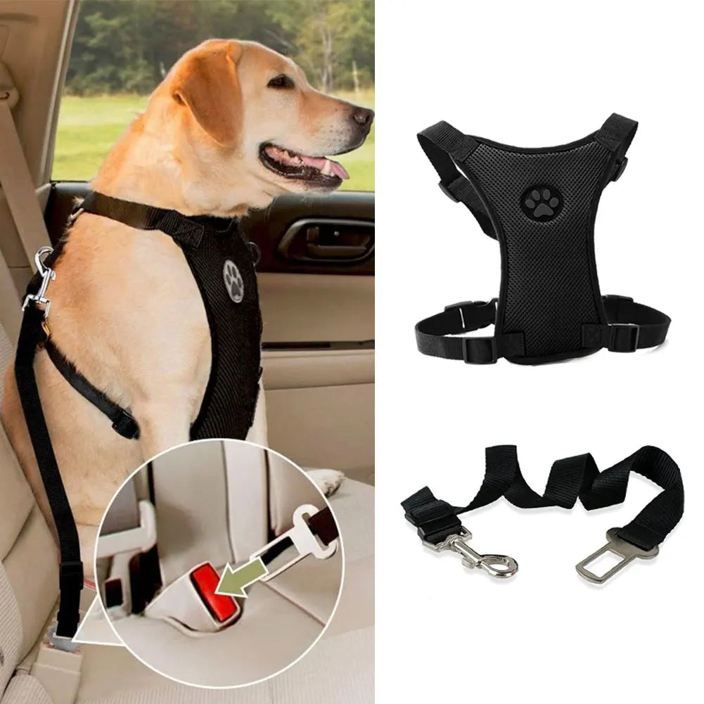Harnais Mesh Chien Respirant — Sangle Sécurité Voiture Incluse | Petloria