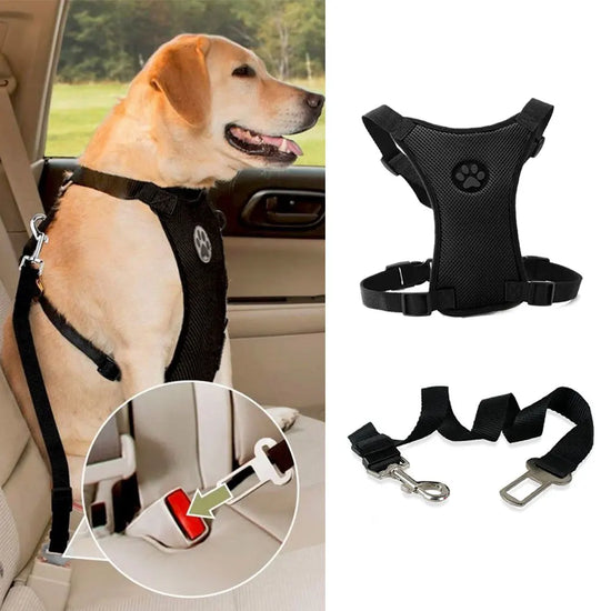 Harnais Mesh Chien Respirant — Sangle Sécurité Voiture Incluse | Petloria