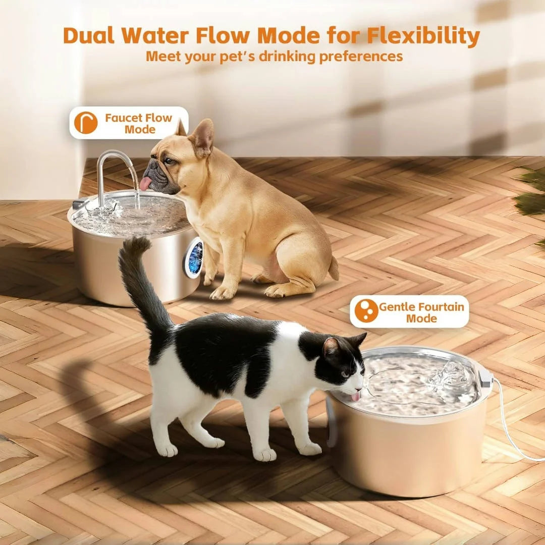 Fontaine à Eau Inox Chat & Chien 3,2L — Filtration Quadruple Ultra-Silencieuse | Petloria