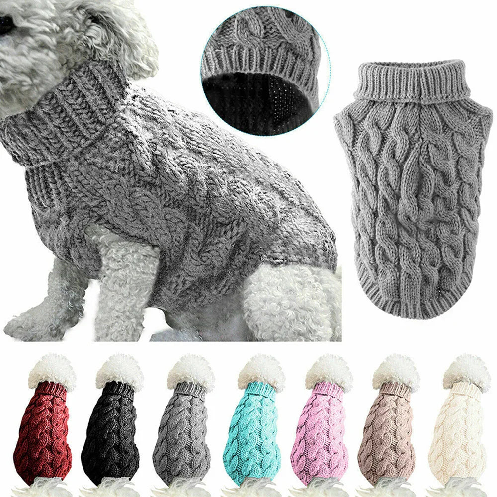 Pull pour chien