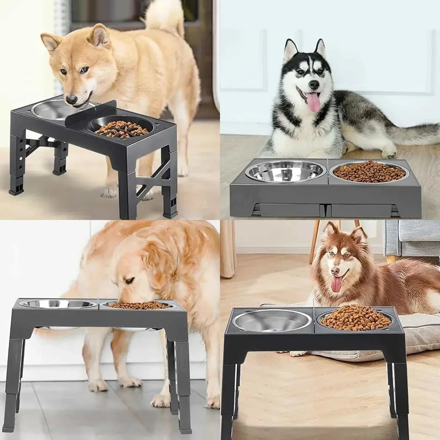 Gamelle surélevée réglable en inox avec 5 hauteurs pour chien, design pliable et stable avec bols séparés.