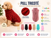 Pull pour chien